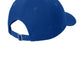 Blue Dragons Baseball Hat